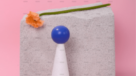 demo-attachment-198-pexels-daria-liudnaya-7354801